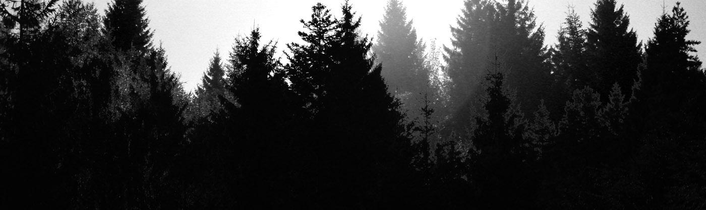 Wald
