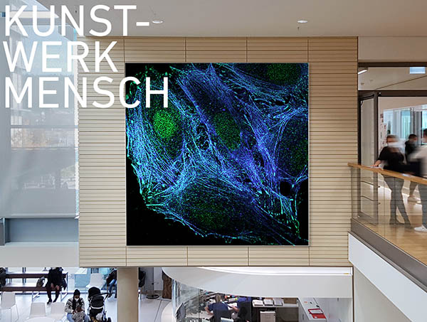 Oberschwabenklinik