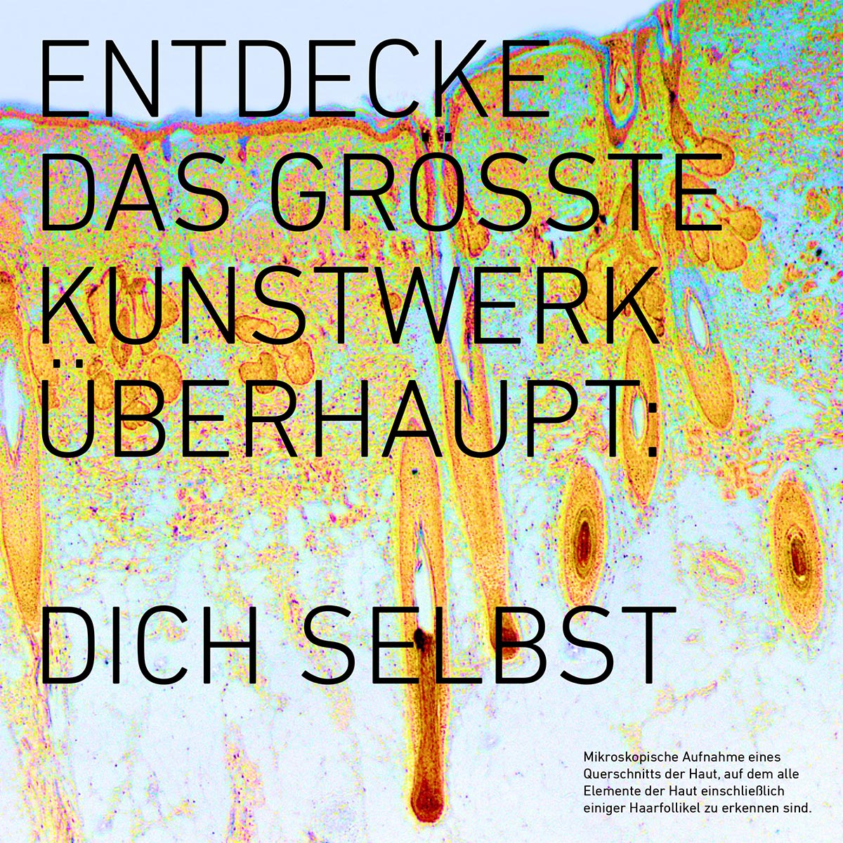 Oberschwabenklinik