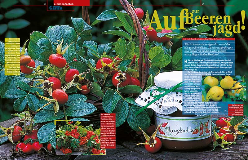 Mein sch&ouml;ner Garten
